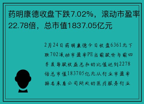 药明康德收盘下跌7.02%,滚动市盈率22.78倍,总市值1837.05亿元