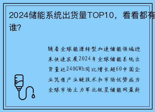 2024储能系统出货量TOP10,看看都有谁?