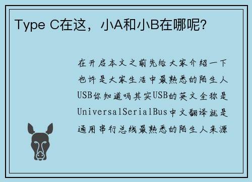 Type C在这,小A和小B在哪呢?