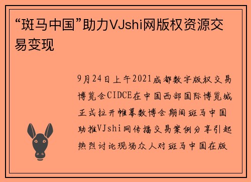 “斑马中国”助力VJshi网版权资源交易变现