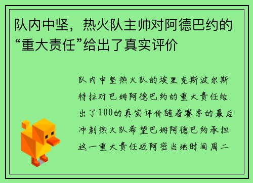 队内中坚,热火队主帅对阿德巴约的“重大责任”给出了真实评价