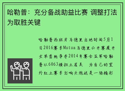 哈勒普：充分备战助益比赛 调整打法为取胜关键